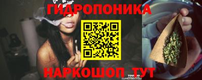 мдпв Партизанск
