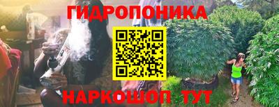 крисы Обнинск