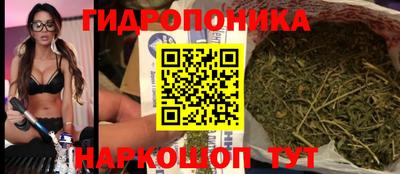 мдпв Партизанск