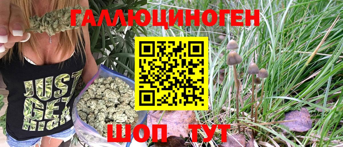 Галлюциногенные грибы GOLDEN TEACHER Семёнов